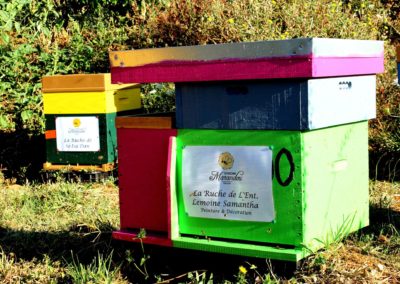 parrainer ruche Abeille Rucher du Marandou miel ruche apiculture fleur dordogne périgord bienvenue à la ferme
