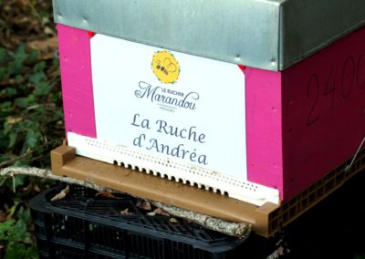 parrainer ruche Abeille Rucher du Marandou miel ruche apiculture fleur dordogne périgord bienvenue à la ferme