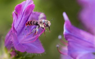 Concours photo de mars : félicitations à Pierre-Jean Quenot, notre gagnant