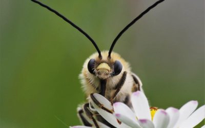 Félicitations à Mme Dani Raguth – Gagnante du Concours Photo !
