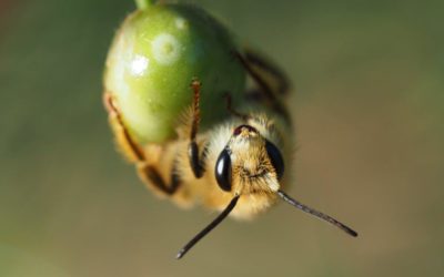 Concours photo d’août : bravo à notre gagnante !