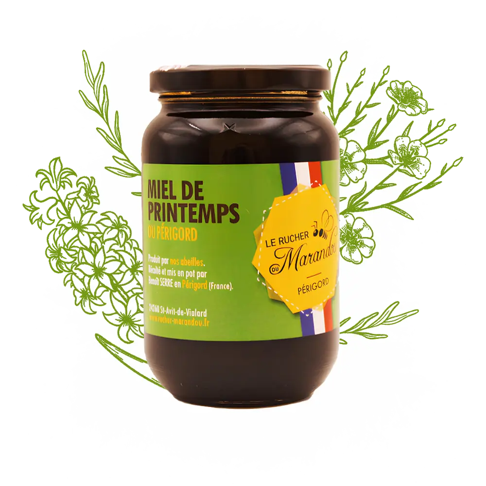 Miel de printemps 500 g – Apiculteur producteur Dordogne – Rucher du Marandou