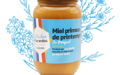 Recettes d’automne avec miel primeur de printemps : saveurs réconfortantes & promotion
