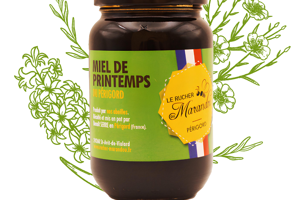 Miel de printemps 500 g – Apiculteur producteur Dordogne – Rucher du Marandou