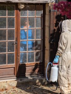 Nid de frelons asiatiques sous une toiture – danger pour les habitants en Dordogne.