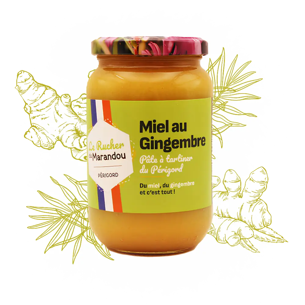 Miel au gingembre 500 g – Apiculteur producteur Dordogne – Rucher du Marandou