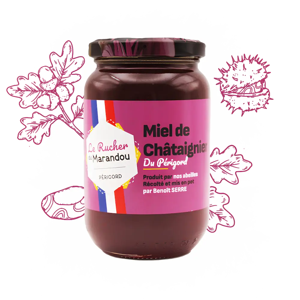 Miel de châtaignier 500 g – Apiculteur producteur Dordogne – Rucher du Marandou