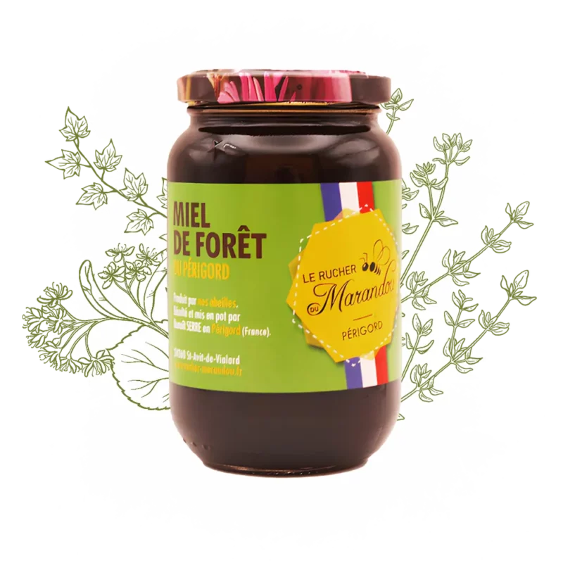 Miel de forêt 500 g – Apiculteur producteur Dordogne – Rucher du Marandou