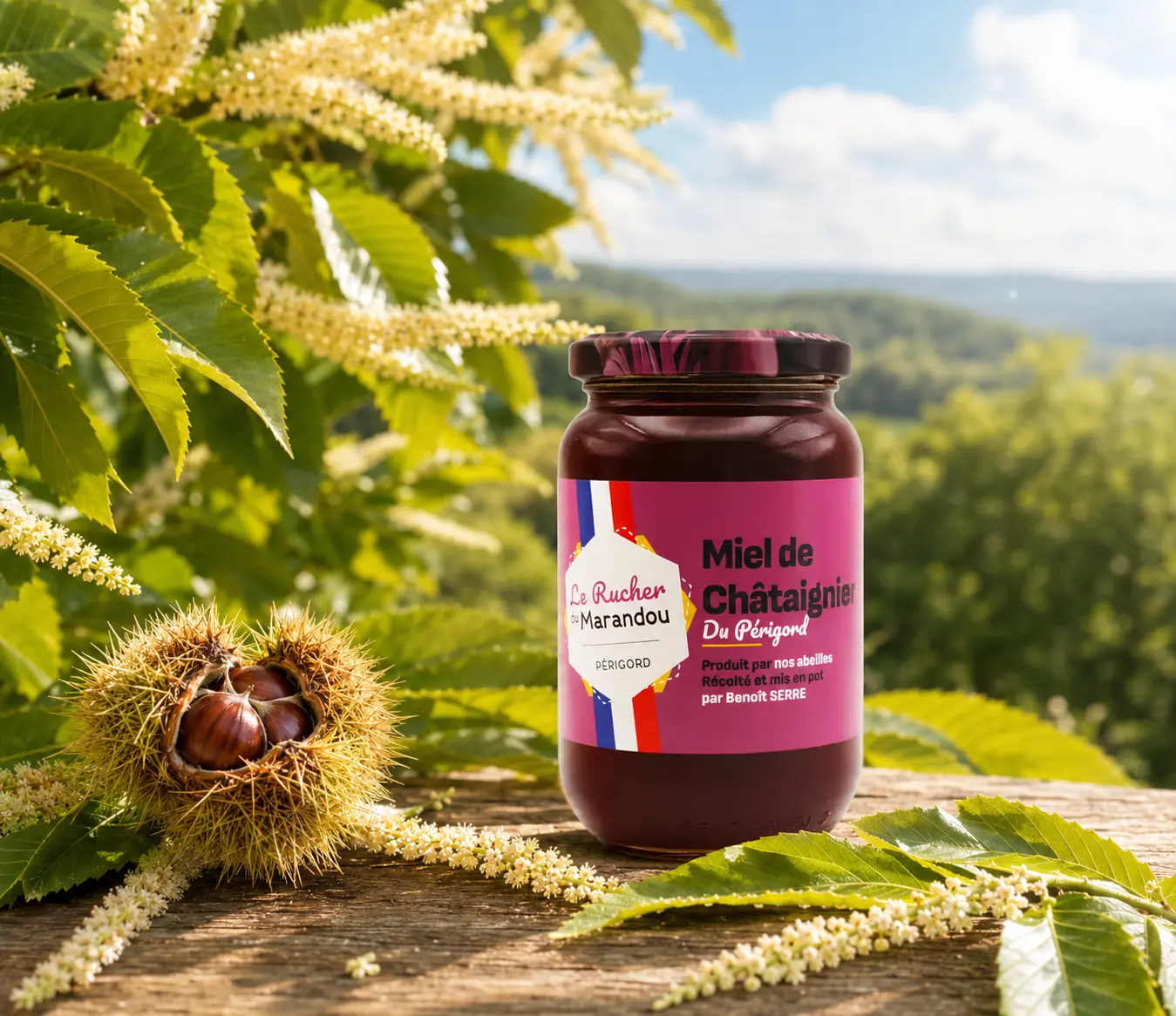 Pot de miel de châtaignier du Périgord du Rucher du Marandou devant des châtaigniers en fleurs sous le soleil de Dordogne